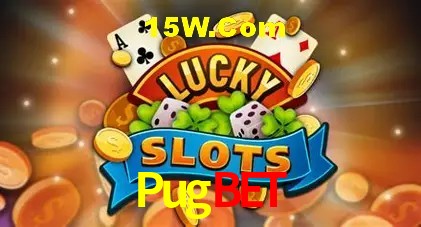 Security Systems Pugbet